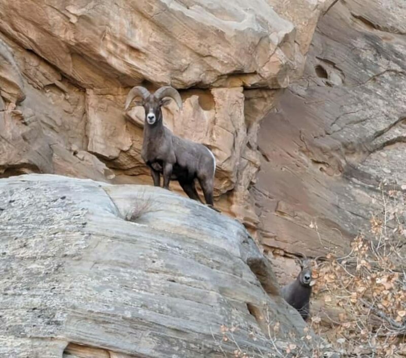 Torrey: Capitol Reef National Park Temples of the Sun & Moon - Key Points