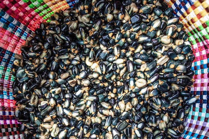 Tortillas, Nixtamal, and Salsas Workshop - Key Points