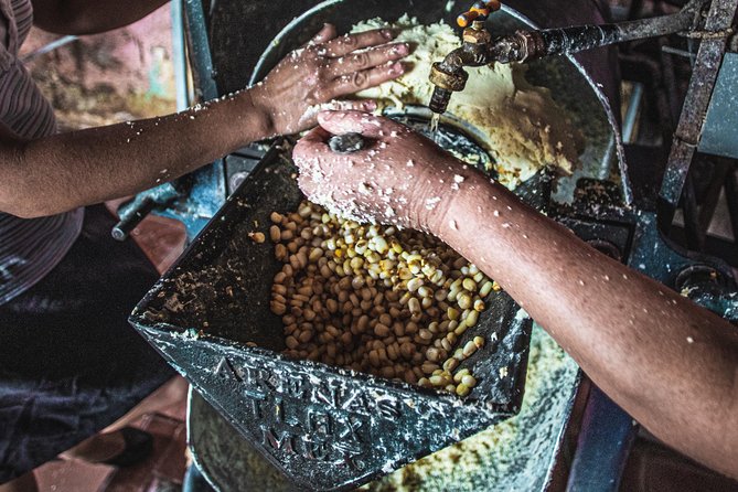 Tortillas, Nixtamal, and Salsas Workshop - Oaxacan Cuisine Fundamentals