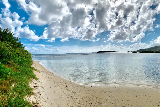 Tortola Private Tour and Snorkeling in the Most Beautiful Beaches - Highlights of the Tour