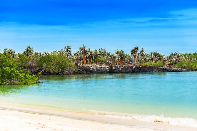 Tortuga Bay - Round Trip Shuttle - Punta Cana Airport - Included Amenities