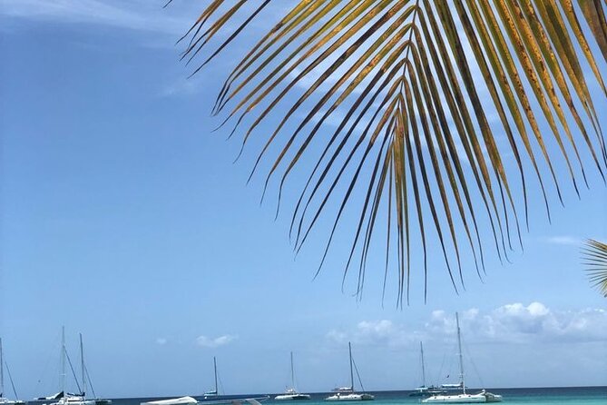 Tortuga Bay - Round Trip Shuttle - Punta Cana Airport - Cancellation Policy