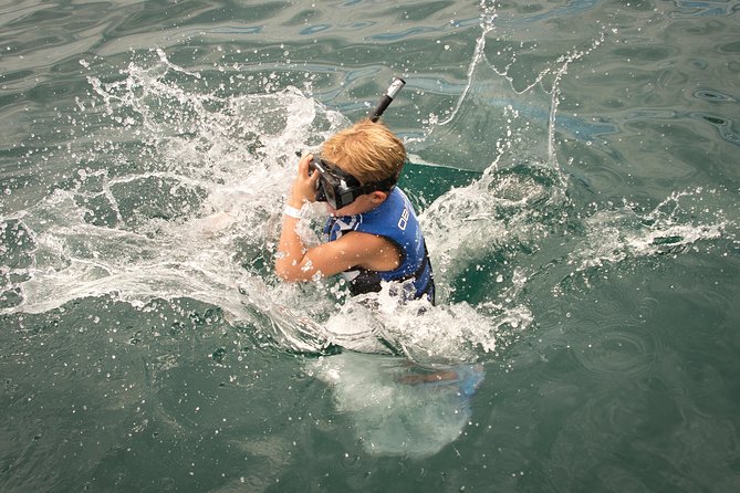 Tortuga Island Tour With Costa Cat - Activity Options