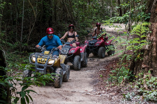 Tortugas Jeep Adventure & ATV Jungle Experience - Activity Offerings