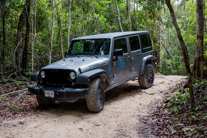 Tortugas Jeep Adventure & ATV Jungle Experience - Included Features