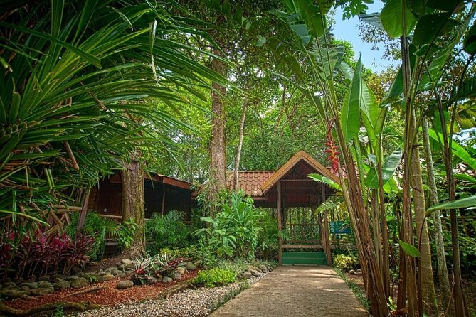 Tortuguero: All-Inclusive Package 2 Nights 3 Days From San José - Transportation and Logistics