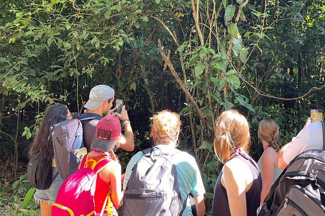 Tortuguero Canal Tour by Canoe - Navigating the Tranquil Waterways