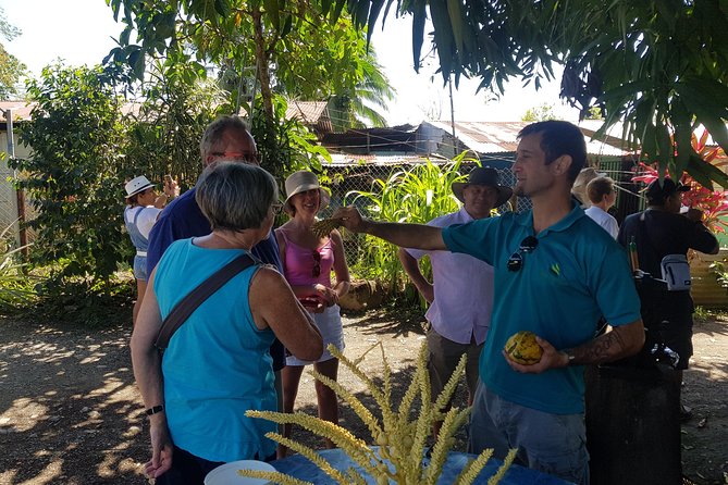 Tortuguero Canals Including Playa Bonita and Puerto Limon Highlights - Tour Inclusions