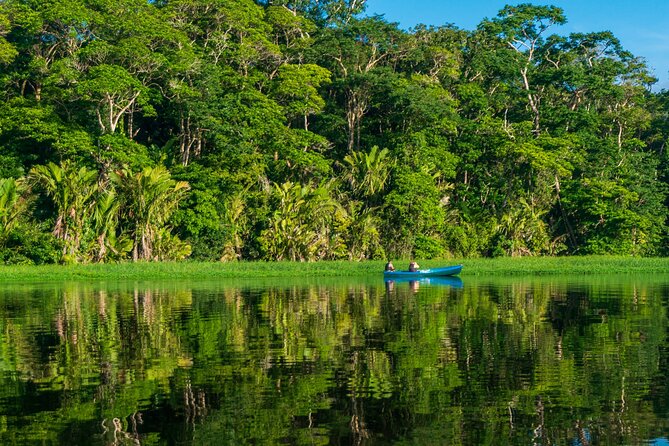 Tortuguero: Canoe Tour, Day Hike, Hill Tour, Night Tour or Spawning - Night Tour and Turtle Spawning