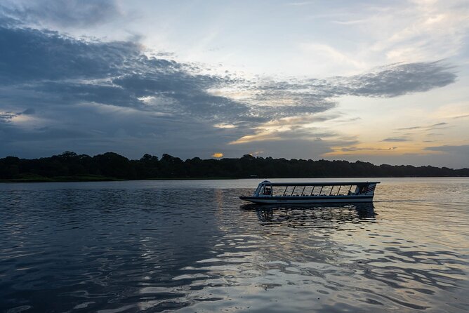 Tortuguero: Canoe Tour + Night Jungle + Cerro Mirador Tour - Key Points