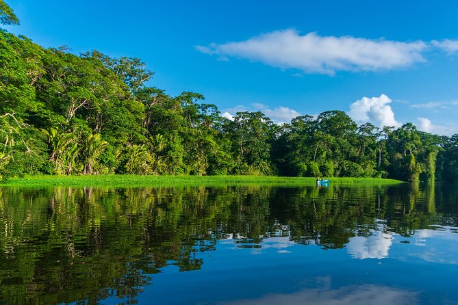 Tortuguero: Canoe Tour + Night Jungle or Spawn Turtle - Nighttime Jungle Expedition