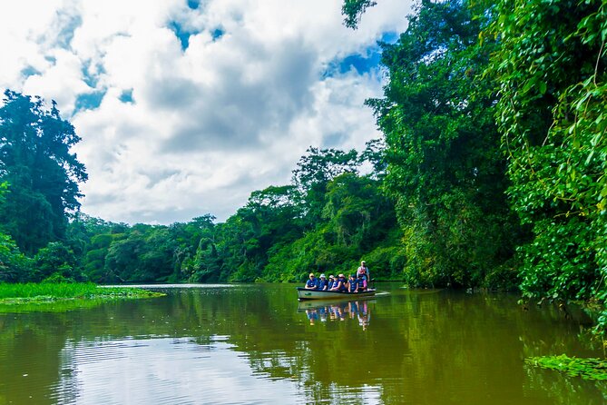 Tortuguero: Canoe Tour + Night Jungle or Spawn Turtle - Inclusions and Requirements