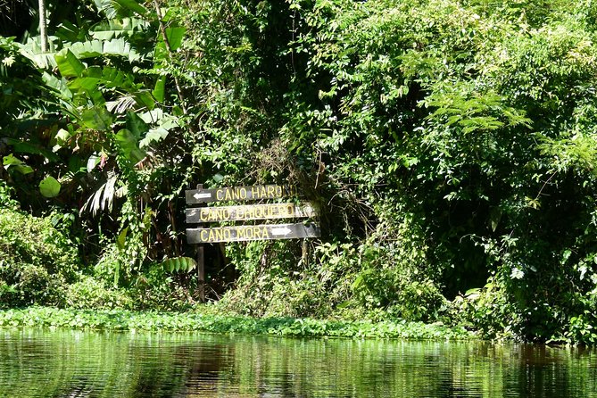 Tortuguero Classics - 2 Tours: Canoe and Day Hike - Tour Overview