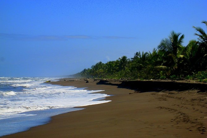 Tortuguero National Park and Canals Day Trip From San Jose - Overview of the Day Trip