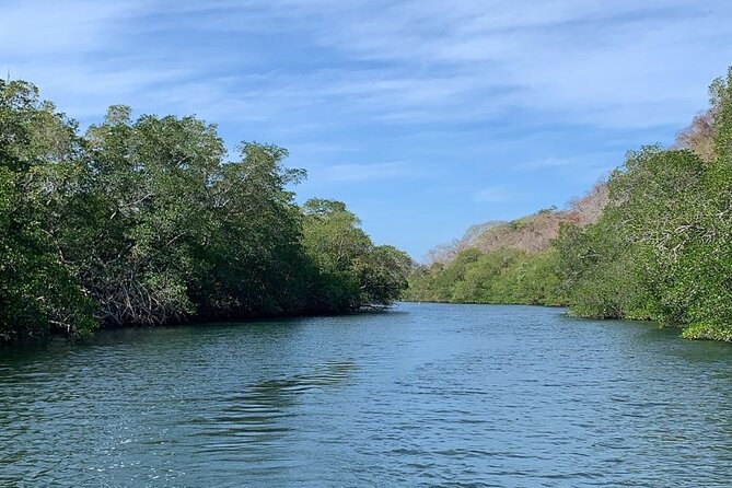 Tortuguero National Park Day Trip From San Jose - Accessibility and Group Size