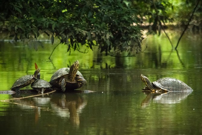 Tortuguero National Park Eco Adventure Canoe Tour From San Jose - Booking and Contact Information
