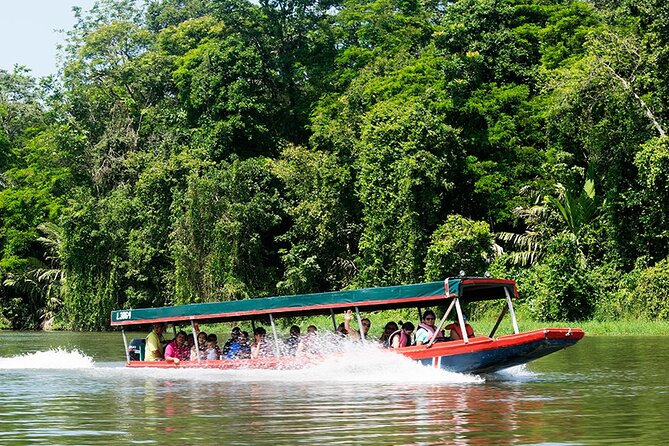 Tortuguero One Day. Private Tour From San Jose - Canals and Wildlife