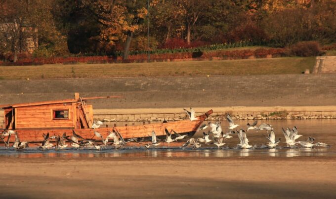 Toruń: Sightseeing Cruises on the Vistula River - Frequently Asked Questions
