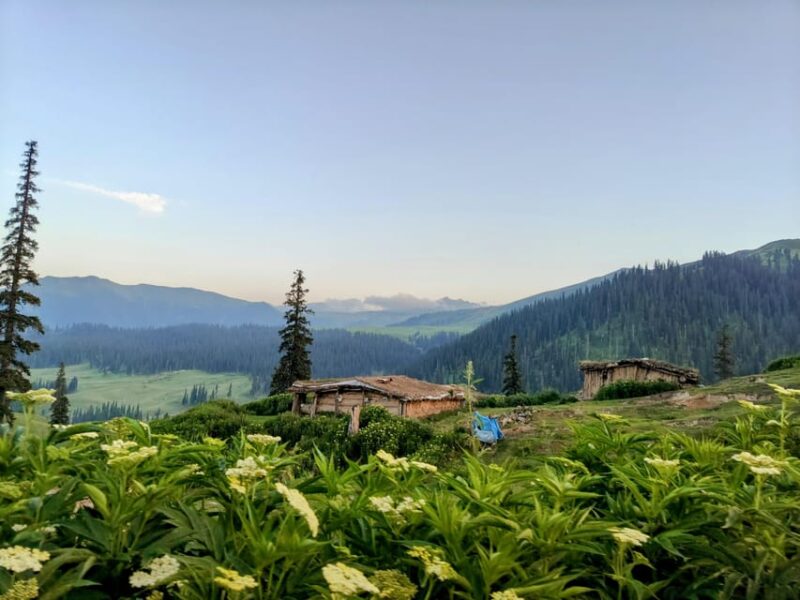Tosa Maidan - The King of Meadows - Tour Details and Pricing