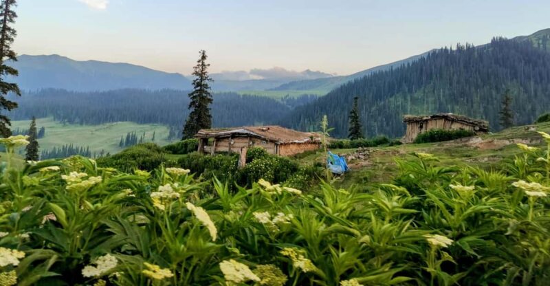 Tosa Maidan - The King of Meadows - Day 3: Srinagar Sightseeing