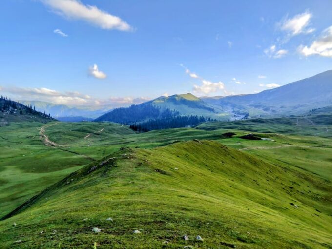 Tosa Maidan - The King of Meadows - Inclusions and Exclusions