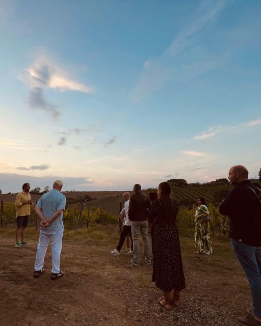 TOSCANA -Guided Tour, Wine Tasting, and Local/Syrian Bites - Key Points
