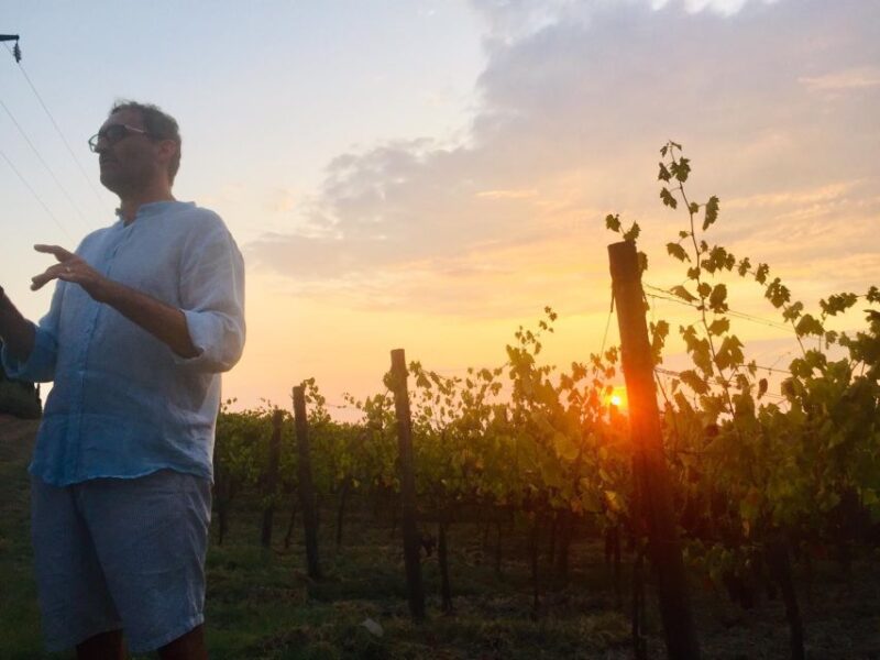 TOSCANA -Guided Tour, Wine Tasting, and Local/Syrian Bites - Wine Tasting and Winery Visit