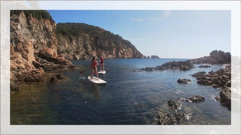 Tossa De Mar: Guided Route in Paddle Surfing&Coves and Caves - Inclusions and Requirements