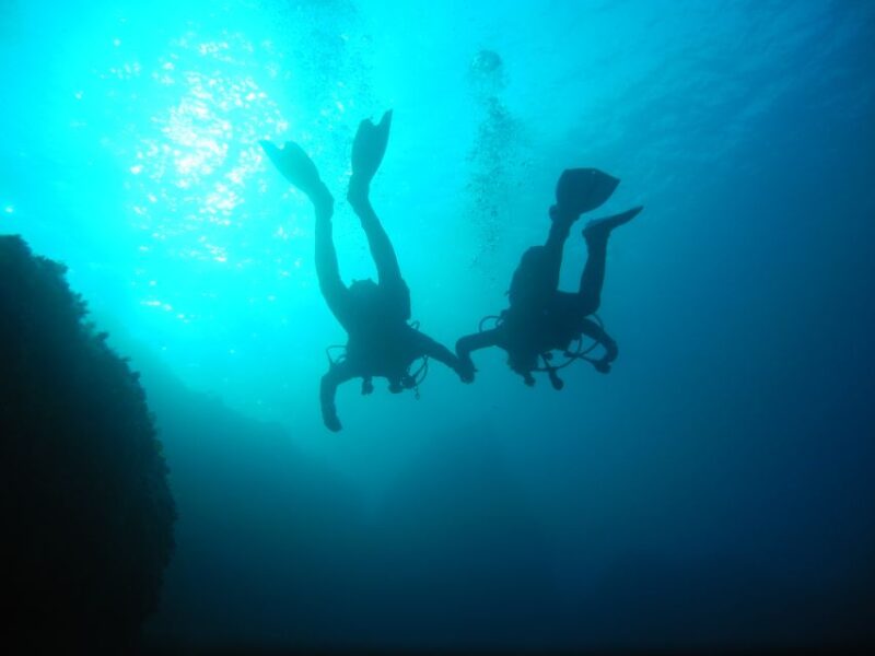 Tossa De Mar: Mar Menuda Dive Trip for Certified Divers - Booking Information