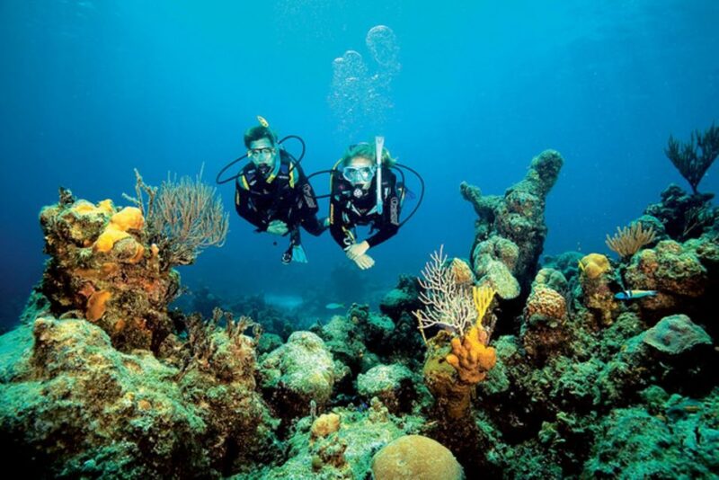 Tossa De Mar: Scuba Diving Experience for Beginners - Included Equipment