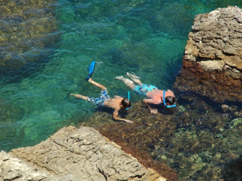 Tossa De Mar: Snorkeling Tour - Highlights of the Tour
