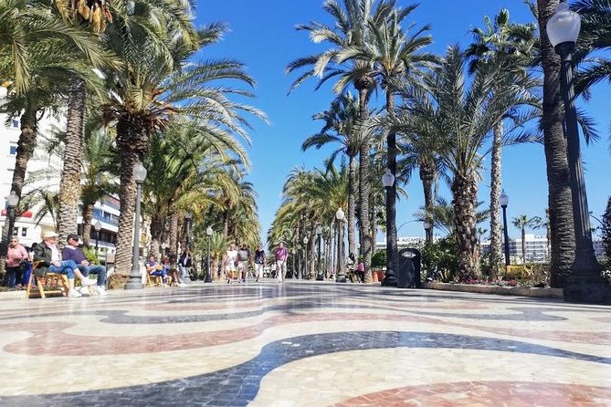 Total Alicante Walking Tour, Tapas and Wine Tasting - Additional Information and Logistics