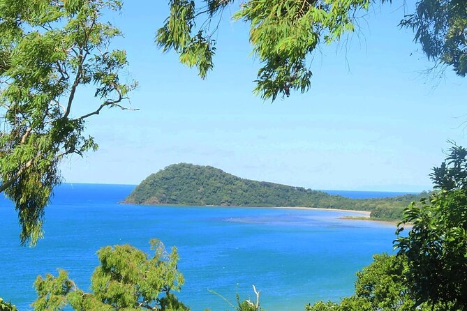 Total Daintree Experience Tour From Port Douglas - Reviews