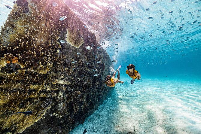 Total Snorkel and Jet Ski Tour Over Cancun Bay - Booking Flexibility