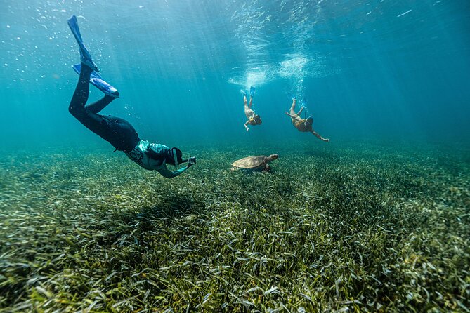 Total Snorkel and Jet Ski Tour Over Cancun Bay - Meeting Point and Pickup