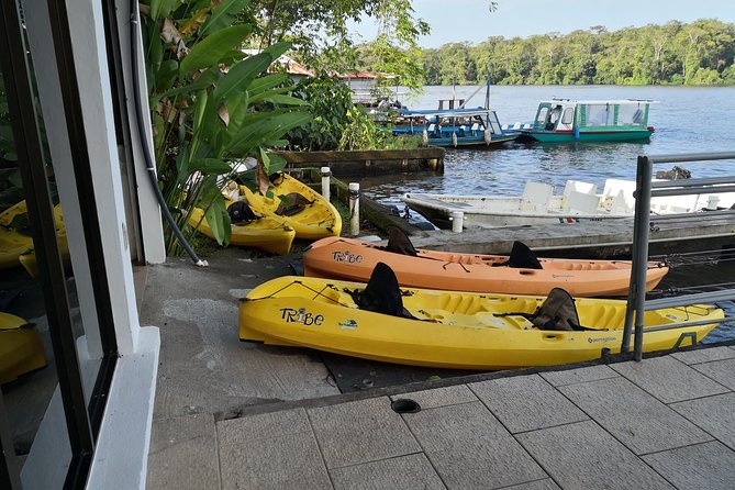 Total Tortuguero Canoe or Kayak+Hike+Nw(Tortugas From Jul-Oct) - Hiking Trails in Tortuguero
