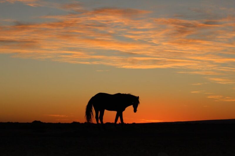 Touareg Desert Horseback Riding in Morocco - Desert Landscapes