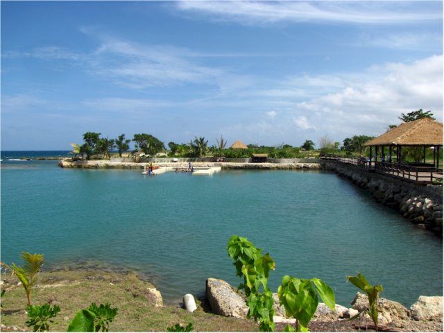 Touch Encounter With the Dolphins at Dolphin Cove Negril - Key Points