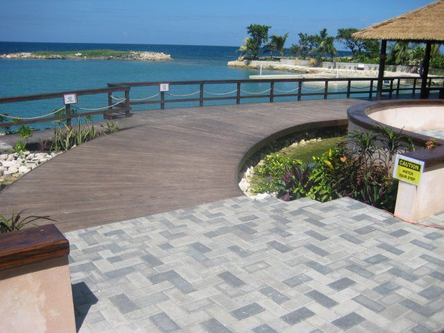 Touch Encounter With the Dolphins at Dolphin Cove Negril - Experience Highlights
