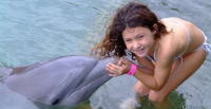Touch Encounter With the Dolphins at Dolphin Cove Negril - Ticket Inclusions and Exclusions