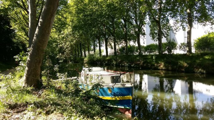 Toulouse: Canal Du Midi Riverboat Cruise With Optional Guide - Customer Reviews