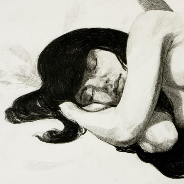 Toulouse: Get Drawn by an Artist - Key Points