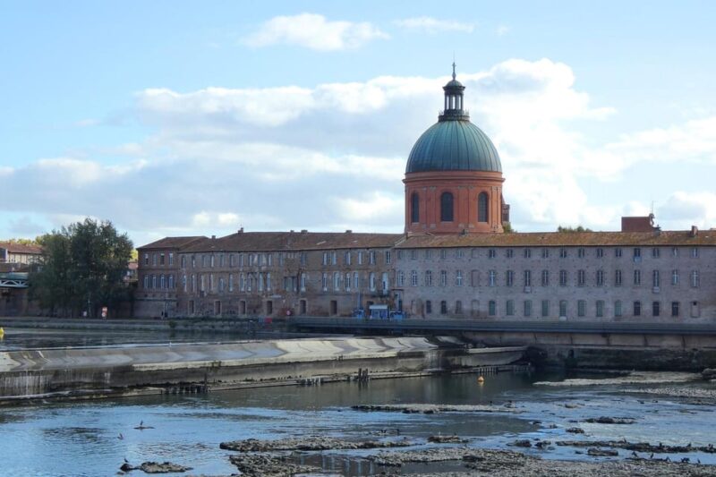 Toulouse Private Guided City Tour - Immerse Yourself in Nature and Culture at Muséum De Toulouse