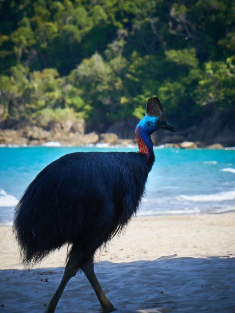 Tour 1 Chasing Waterfalls & Aboriginal Culture Full Day Tour - Accessibility and Restrictions