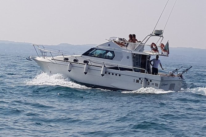 Tour 1h Peninsula - Private Tour Amenities
