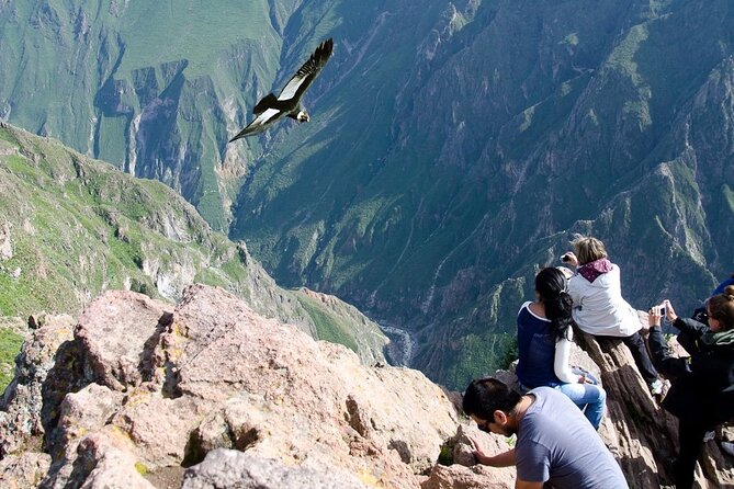 Tour 2 Days Colca Canyon Adventure Trekking - Inclusions and Exclusions