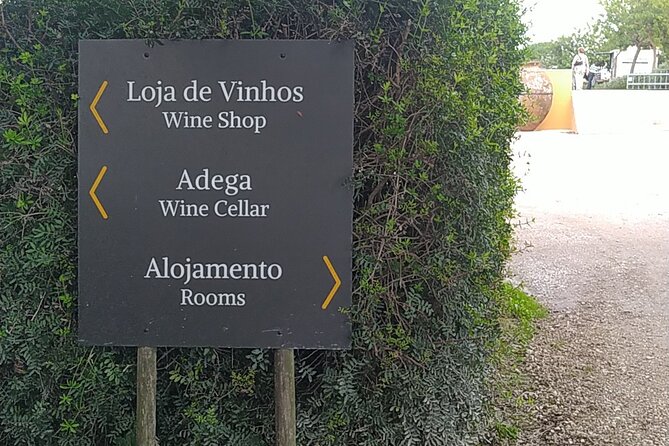 Tour 2 Wineries With Wine Visit and Tasting in Arrábida Lisbon - Tour Schedule