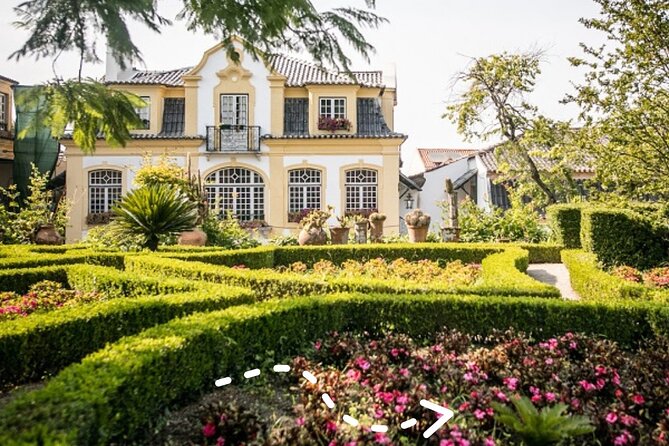 Tour 2 Wineries With Wine Visit and Tasting in Arrábida Lisbon - Review Summary