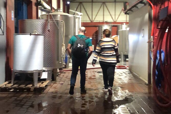 Tour 2 Wineries With Wine Visit and Tasting in Arrábida Lisbon - Exploring the Wineries