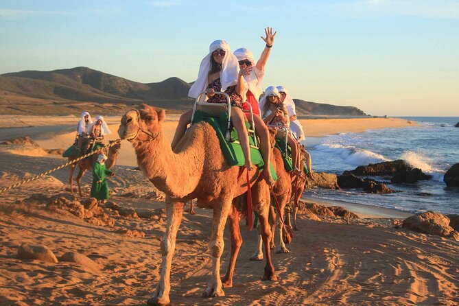 Tour 2x1: Arch + Camels + Mexican Lunch + Pick Up! - Tour Highlights